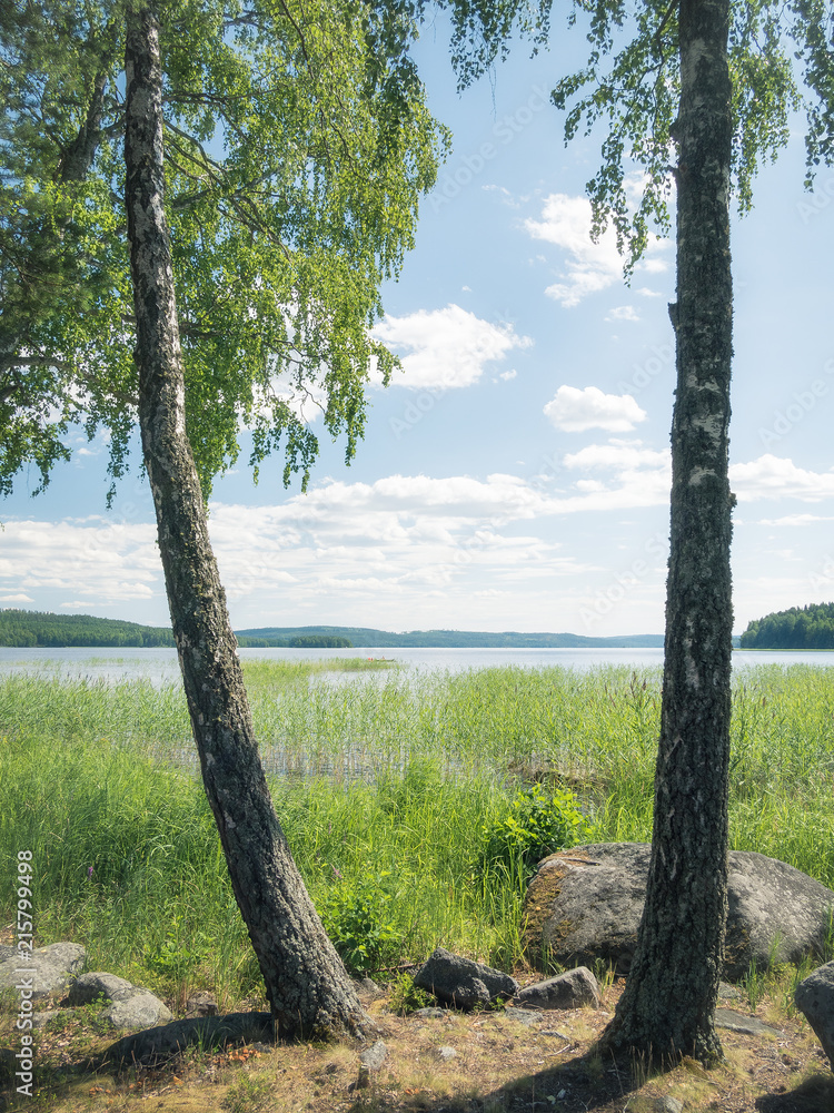 Obraz premium A day in the summer