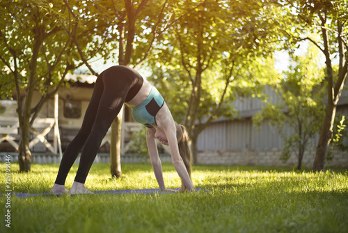 Young woman in the garden practices yoga. Pose of the dog snout down. Summer morning.
