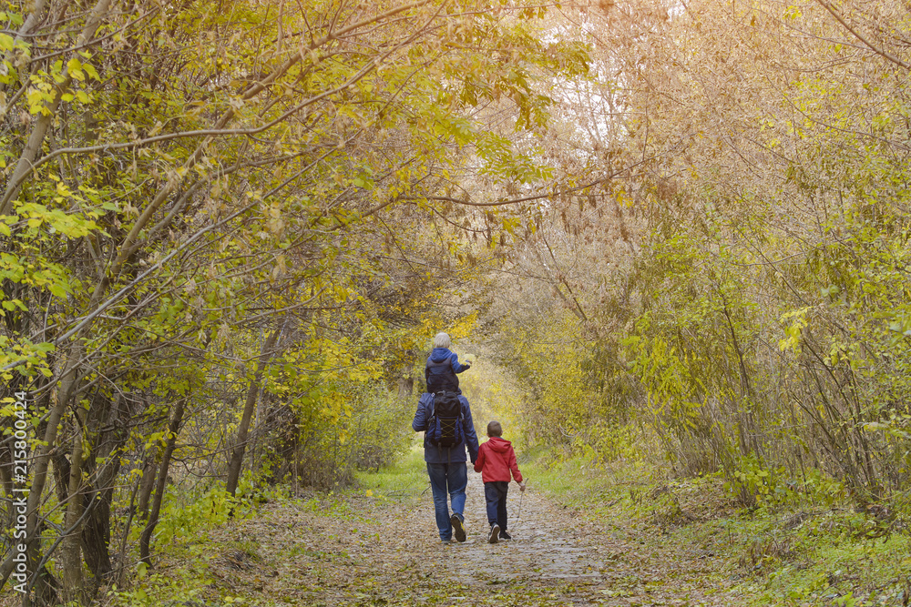 Father and two sons walk through the autumn park. Back view