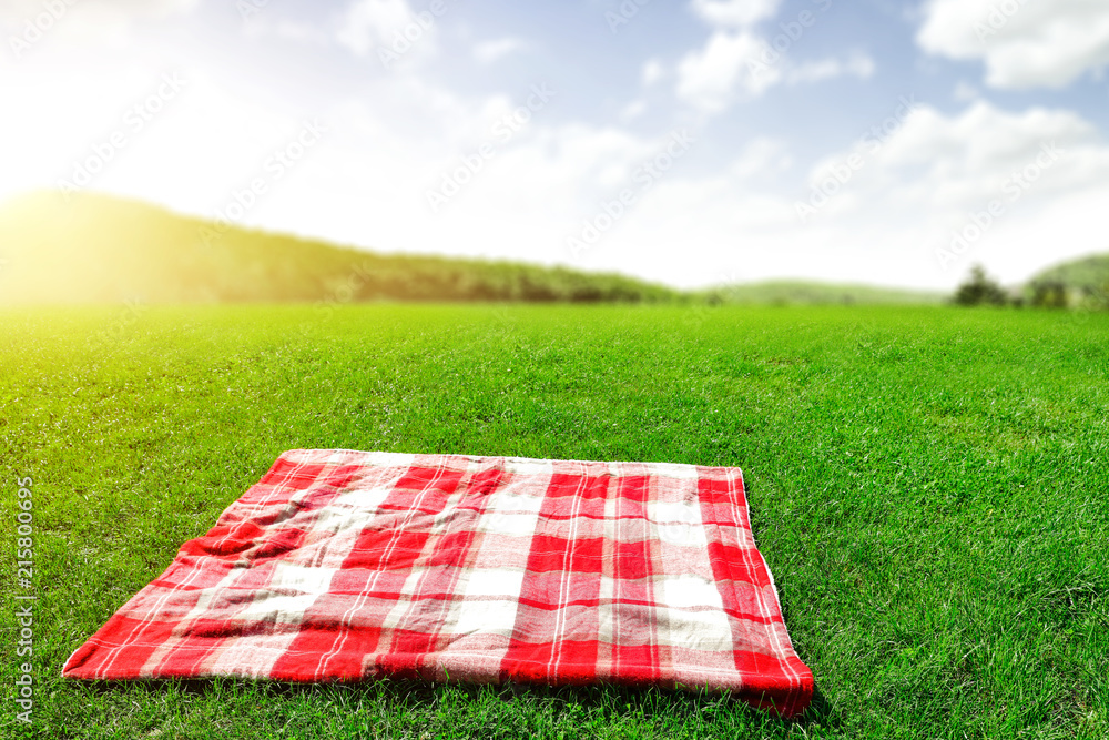 Summer photo of blanket on green grass and free space for your decoration.  - obrazy, fototapety, plakaty 