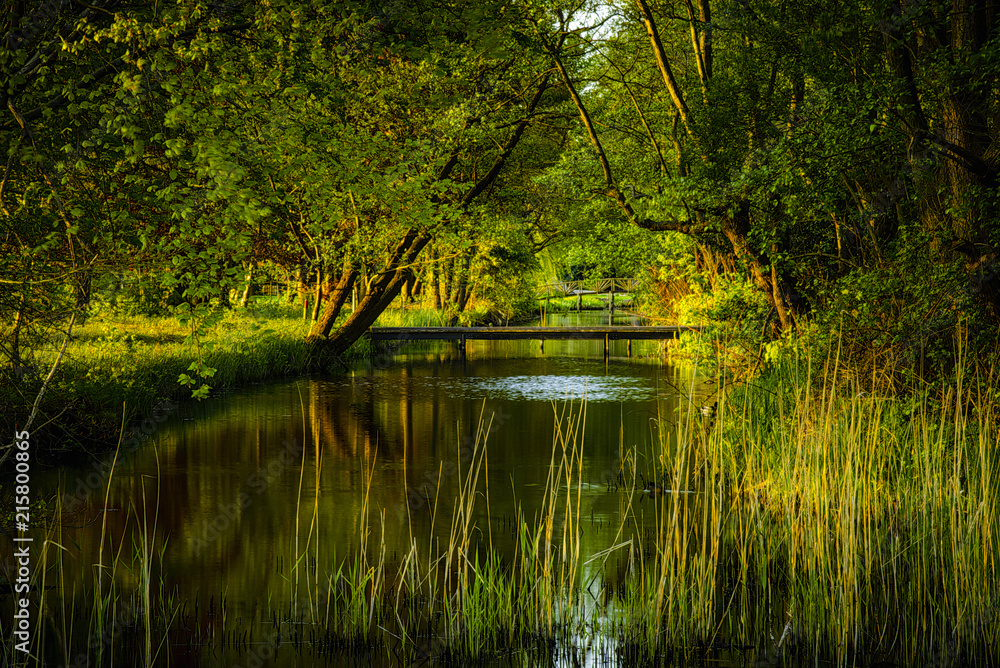 reflection in the water reflection in the water