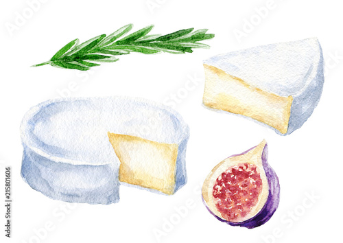 Hand drawn watercolor camembert french cheese set, with fig and rosemary, food illustration isolated on white background.