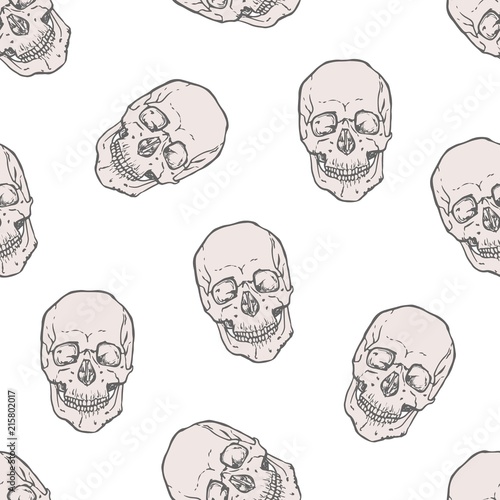 Fotografie Seamless pattern with realistic human skulls on white background