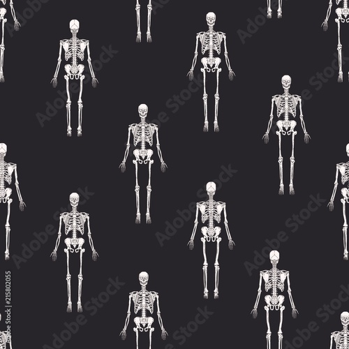 Monochrome seamless pattern with realistic skeletons on black background