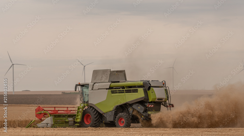 Fototapeta premium Combine agriculture harvest farming