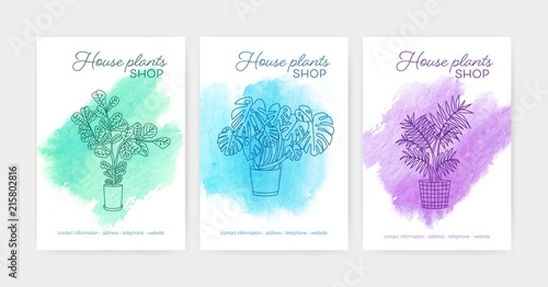Bundle of vertical poster or flyer templates with indoor plants growing in pots drawn with contour lines against watercolor stains on background. Vector illustration for houseplant shop advertisement.