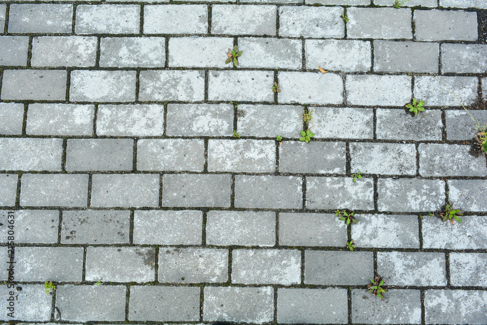Stone pavement with grass texture. Top view on cobblestone street Stone pavement with grass texture. Top view on cobblestone street