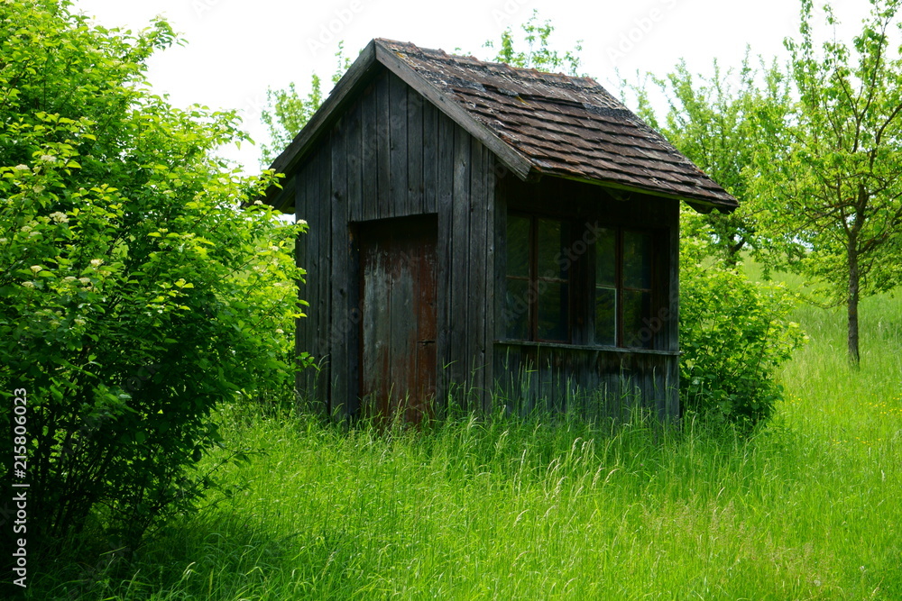 Hütte im Grünen Hütte im Grünen
