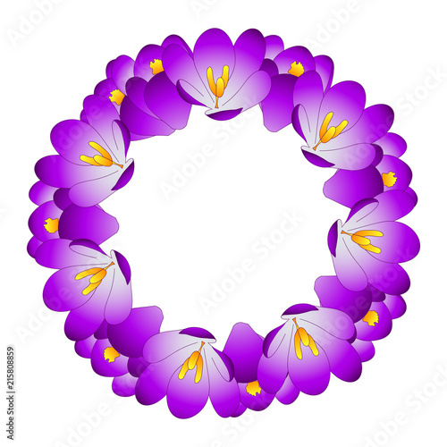 Fototapeta Naklejka Na Ścianę i Meble -  Purple Crocus Flower Wreath