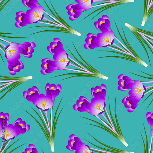 Fototapeta Naklejka Na Ścianę i Meble -  Purple Crocus Flower on Green Teal Background