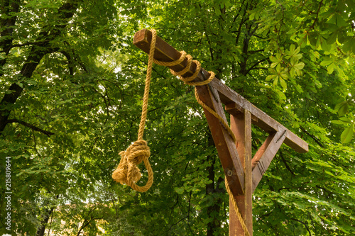 Obraz na plátně No person, medieval gallows, gibbet, halter with a noose and green vegetation ba