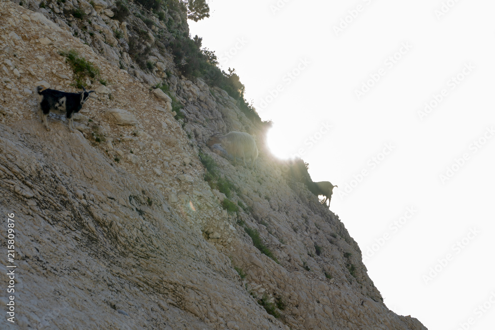 The Beach of Myrtos on Kefalonia Island Greece