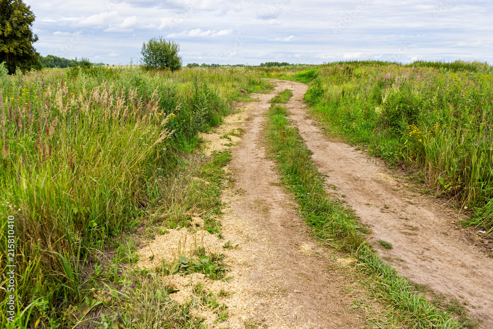 Vanishing dirt road through meadow
Vanishing dirt road through meadow