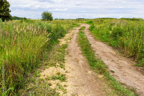 Vanishing dirt road through meadow 