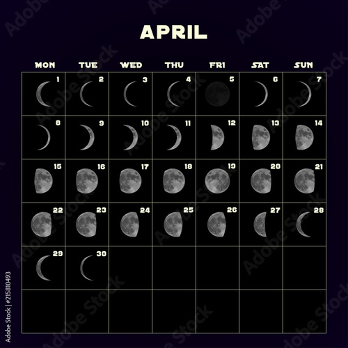 Moon phases calendar for 2019 with realistic moon. April. Vector.