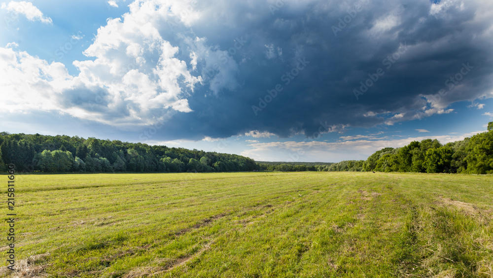 Obraz premium Summer meadow with dark clouds and forest