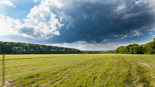 Summer meadow with dark clouds and forest