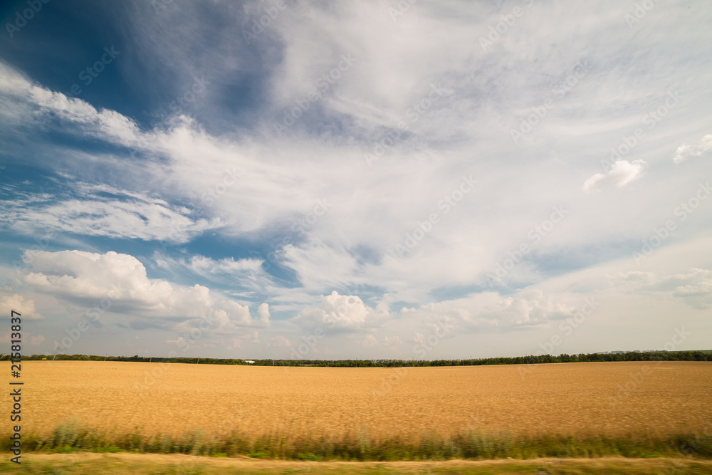 landscape of fields in Russia 