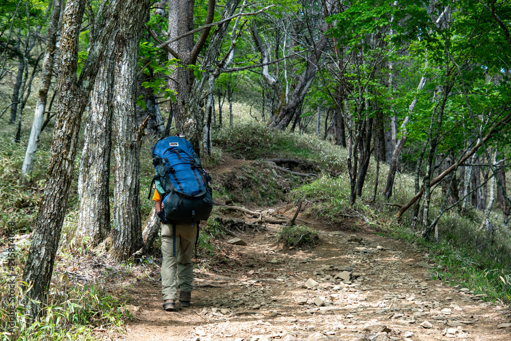 登山する男性 登山する男性