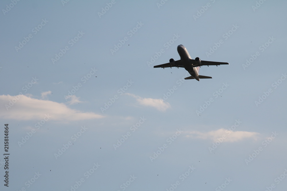 Fototapeta premium flieger