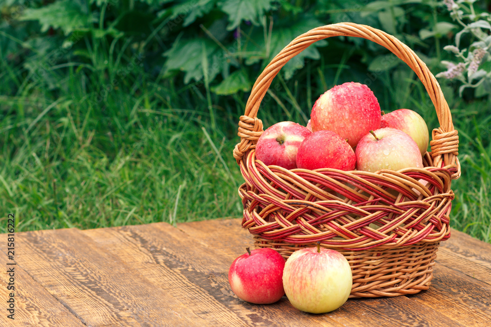 Just picked apples in a wicker basket on wooden boards with grass on background