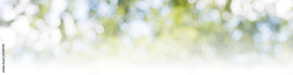 abstract image of a natural background