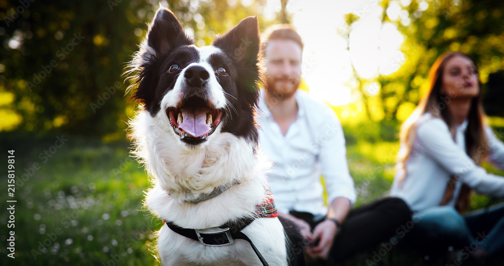 Romantic happy couple in love enjoying their time with pets Romantic happy couple in love enjoying their time with pets