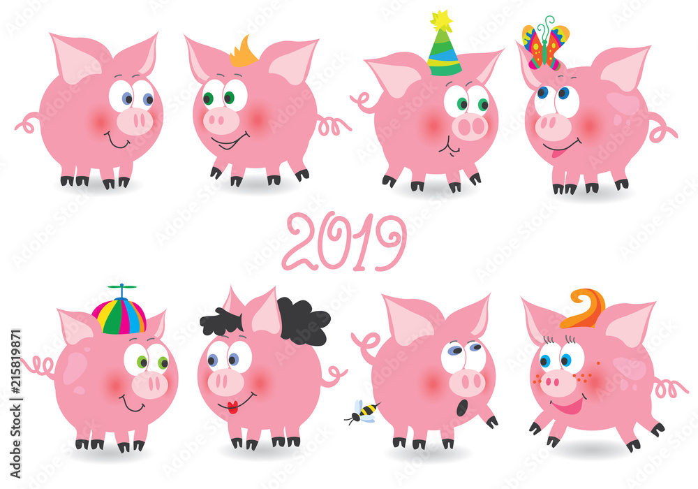 Big pig funny set Big pig funny set