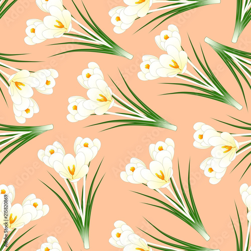 White Crocus Flower on Ligh...