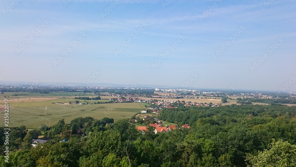 City skyline. City panorama. Urban buildings and city center. Aerial view of the city.