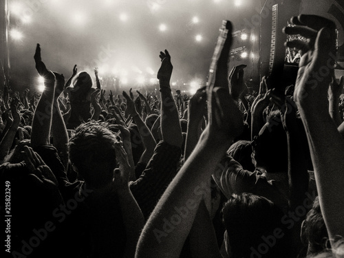 Fotografija Cheering fans at a concert