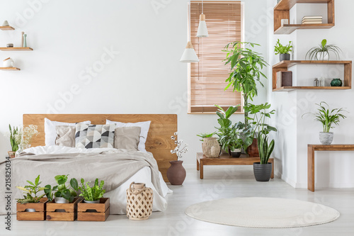 Real photo of a botanical bedroom interior with wooden shelves, tables, double bed, plants and empty wall next to a window with blinds. Place your painting