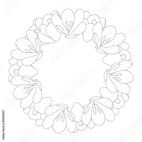 Fototapeta Naklejka Na Ścianę i Meble -  Crocus Flower Outline Wreath