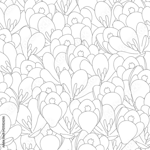 Fototapeta Naklejka Na Ścianę i Meble -  Crocus Flower Outline Seamless Background