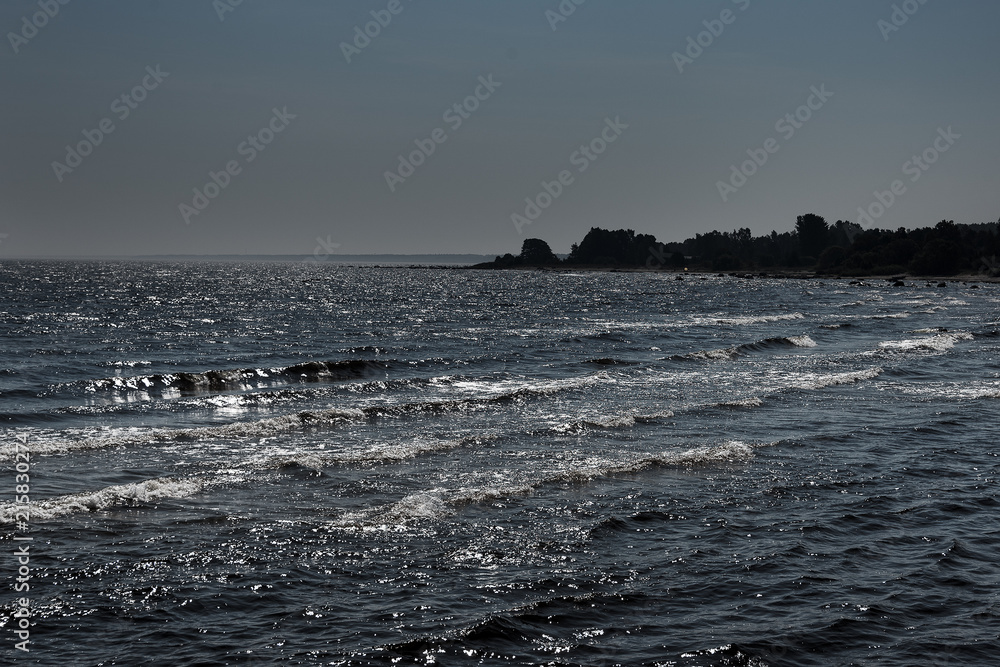 Baltic sea coast.