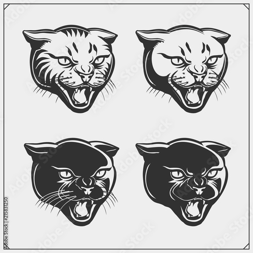 Vector set of wild cat heads.