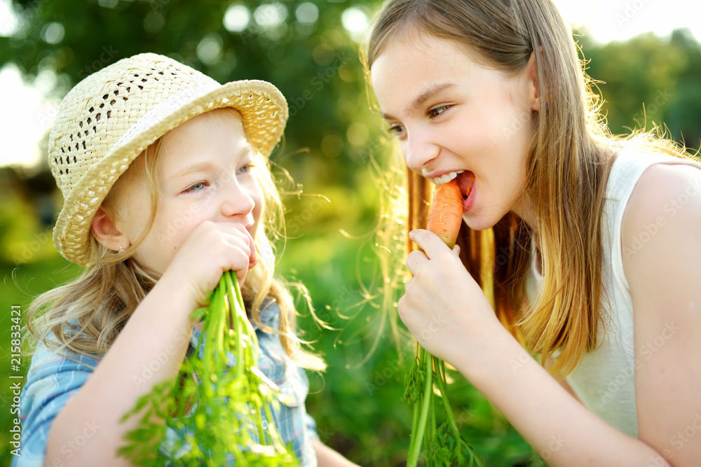 Two cute little sisters holding a bunch of fresh organic carrots. Fresh healthy organic food for small kids. Two cute little sisters holding a bunch of fresh organic carrots. Fresh healthy organic food for small kids.