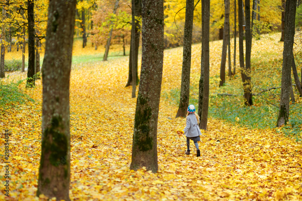 Cute little girl having fun on beautiful autumn day. Happy child playing in autumn park. Kid gathering yellow fall foliage. Cute little girl having fun on beautiful autumn day. Happy child playing in autumn park. Kid gathering yellow fall foliage.