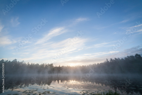 Foggy morning at forest pond landscape Finland © Juhku