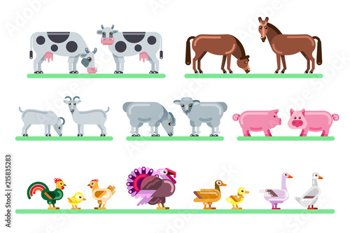 Farm animals set. Vector flat illustration of barnyard. Cute colorful characters isolated on white background