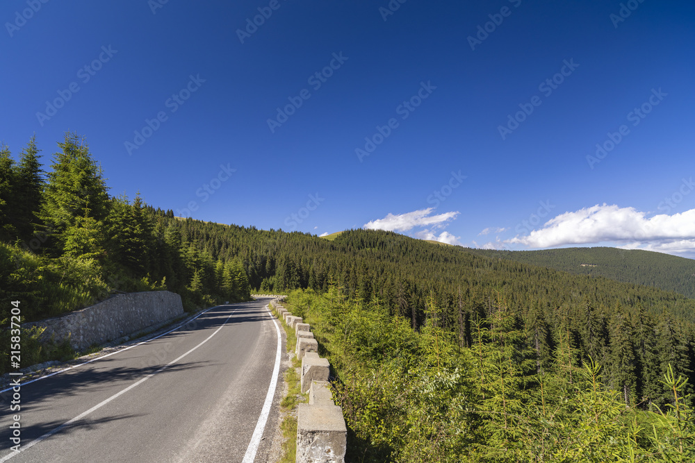Asphalt road going into the mountains through pine forests Asphalt road going into the mountains through pine forests