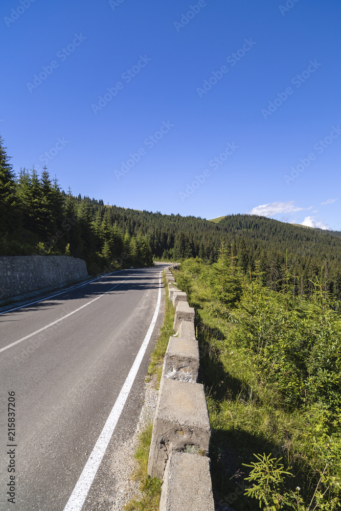 Asphalt road going into the mountains through pine forests