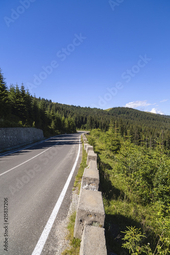 Asphalt road going into the mountains through pine forests