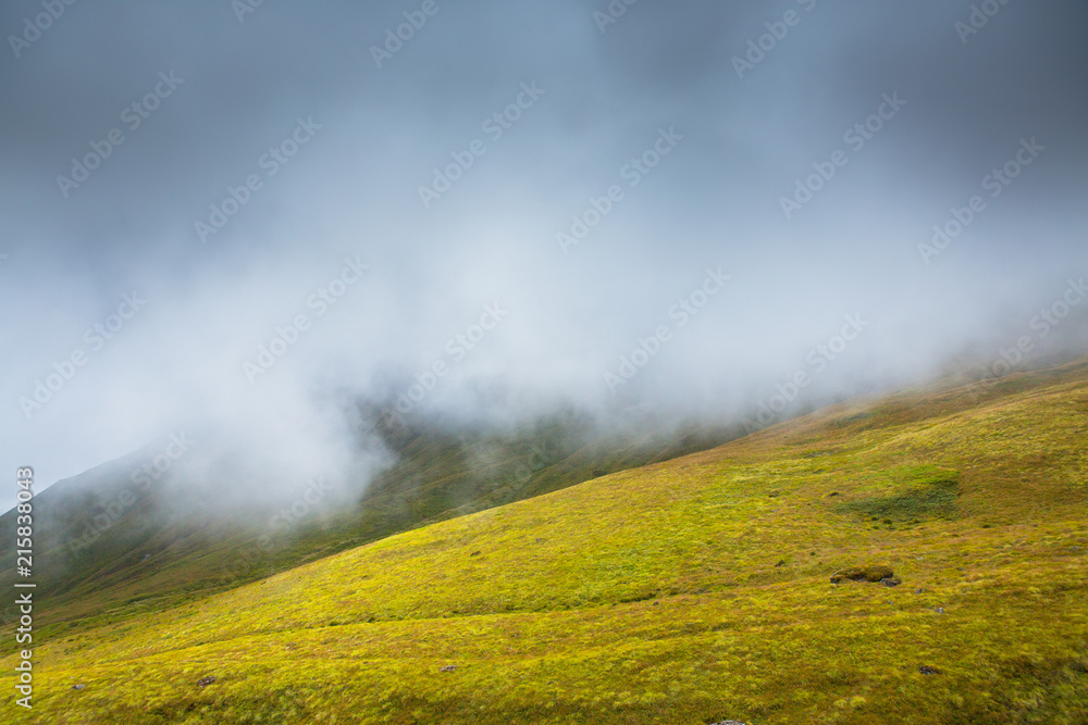 Lush green landscape under a foggy cloud cover in the Annapurna valley near base camp, Nepal. Lush green landscape under a foggy cloud cover in the Annapurna valley near base camp, Nepal.
