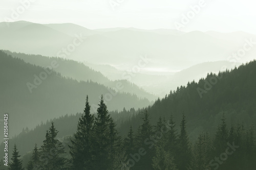 Mountains covered with woods in the early morning mist © e_polischuk