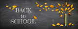 Back to school concept. Top view banner of pencils next to tree sketch with autumn dry leaves over classroom blackboard background.
