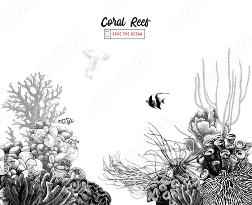 Fototapeta Naklejka Na Ścianę i Meble -  Hand drawn coral reef with tropical fishes
