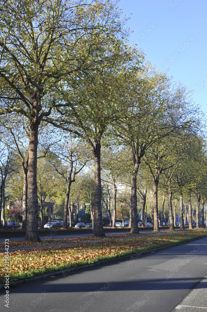 Route urbainne en autonne