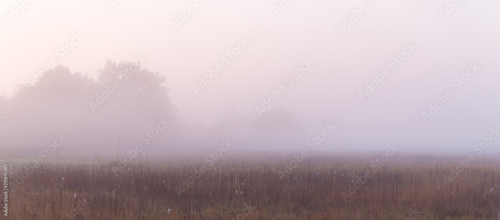 Wide panorama of beautiful foggy meadow. Dense fog over dry grass meadow and trees silhouettes at early autumn morning.