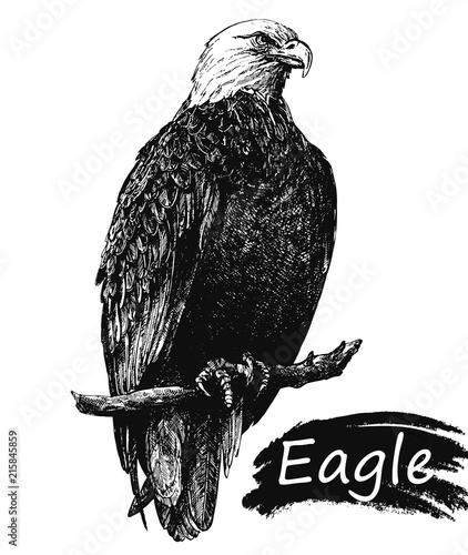 Hand drawn sketch style eagle isolated on white background. Vector illustration.